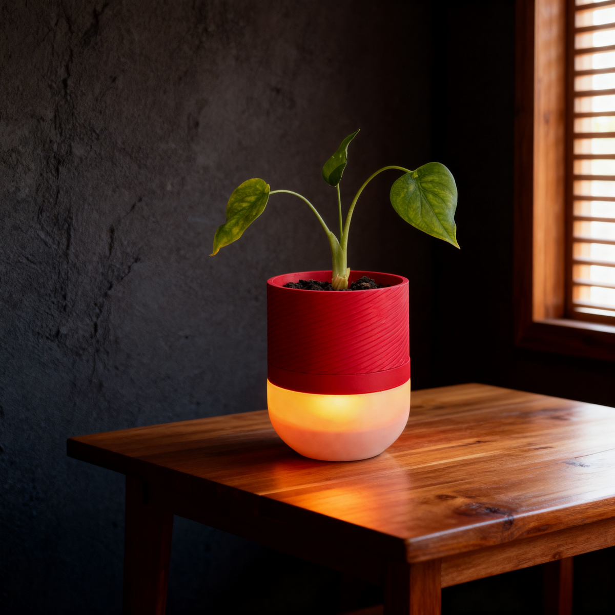 Luma Lamp Planter