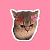 Angry Cat Pink Bow Sticker