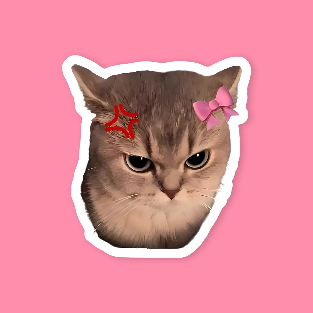 Angry Cat Pink Bow Sticker