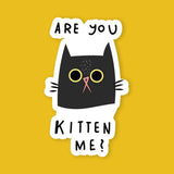 Are You Kitten Me Sticker