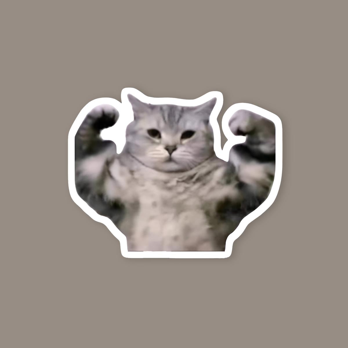 Buff Cat Sticker