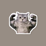 Buff Cat Sticker
