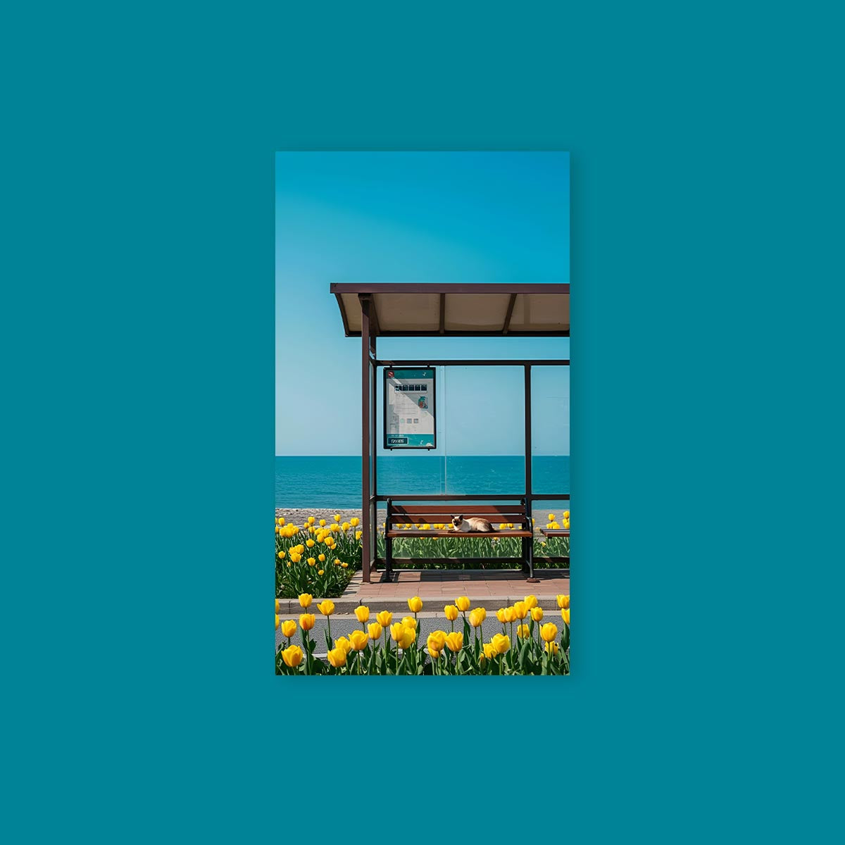Bus Stop Tulip Field Poster Sticker