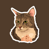 Cat Hands Meme Sticker