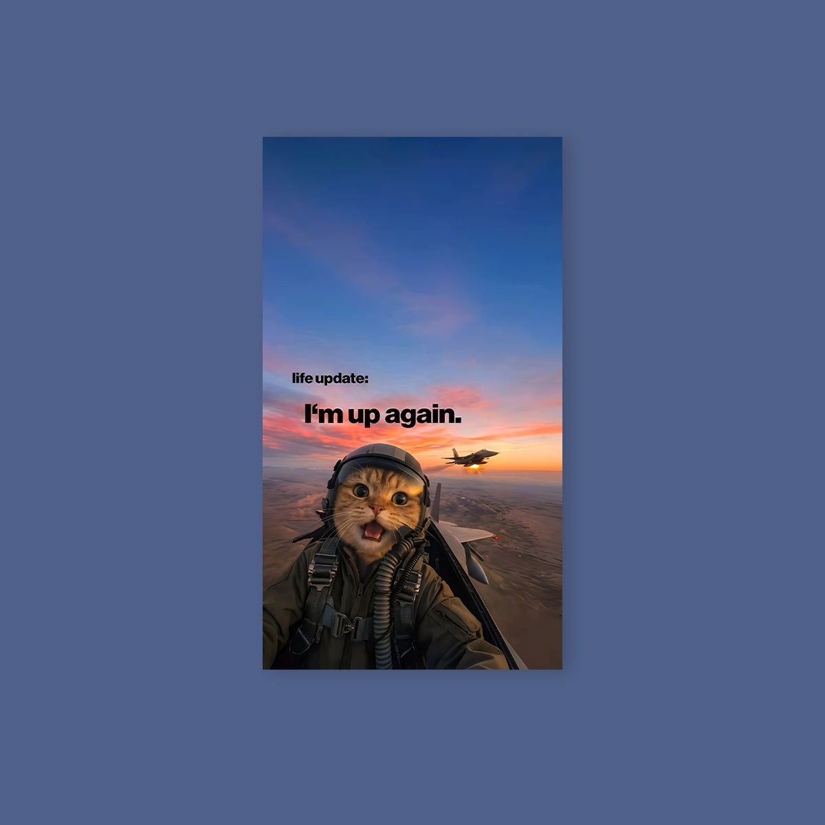 Cat Plane Life Update Poster Sticker
