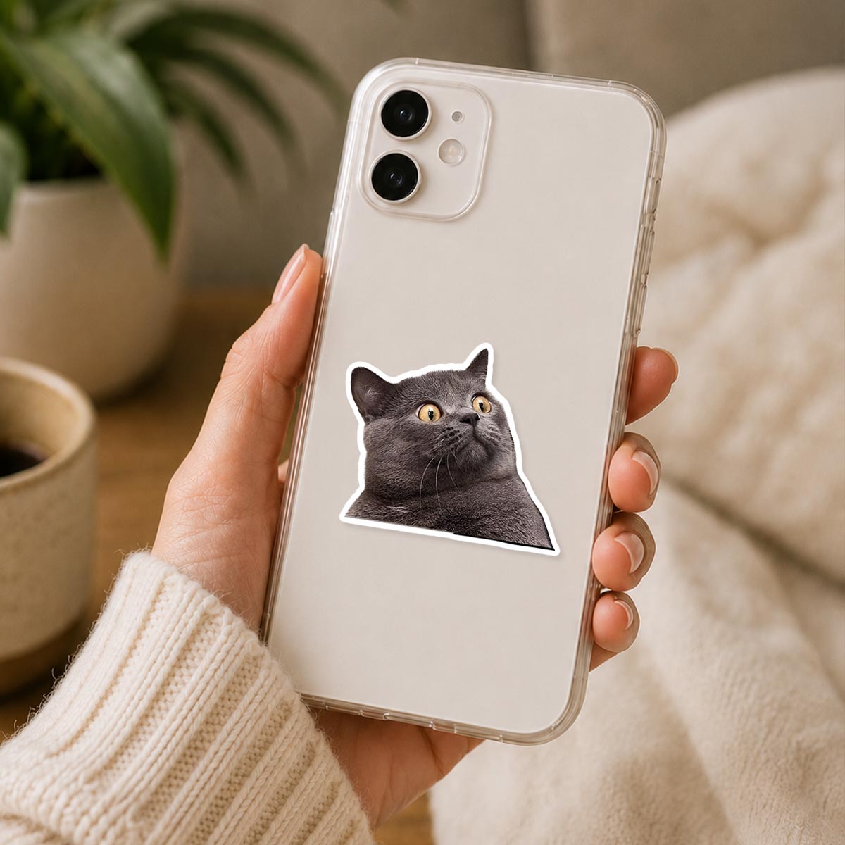 Confused Gray Cat Sticker