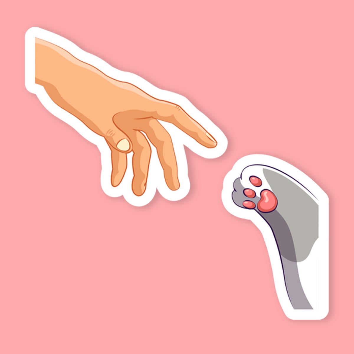 Human And Cat Paw Touch Sticker