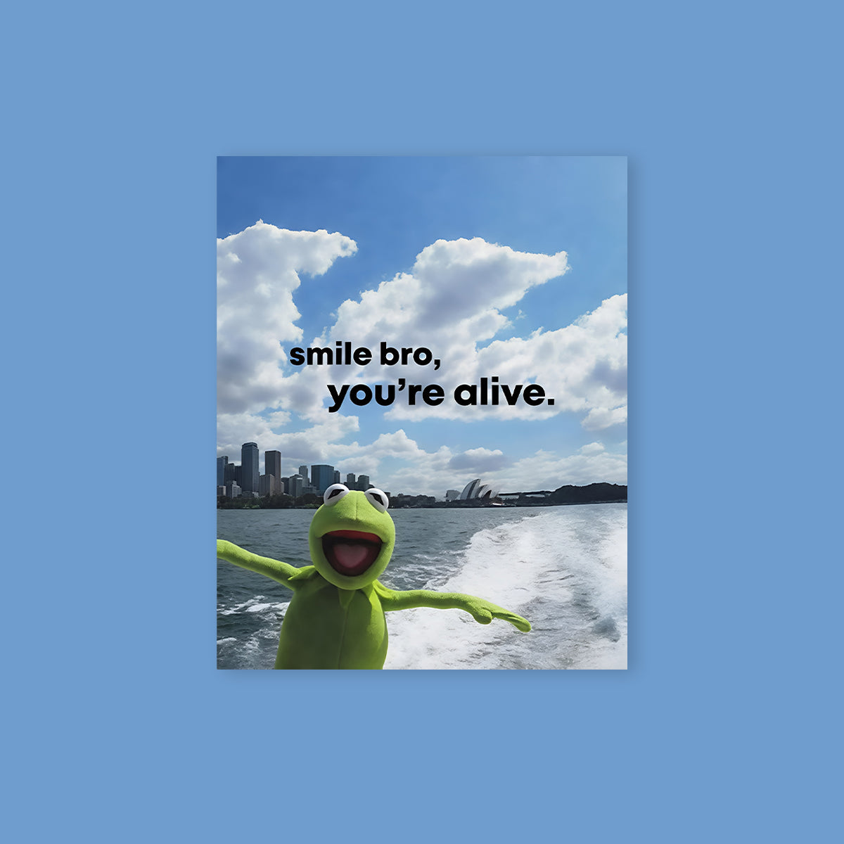 Kermit Smile Bro Youre Alive Poster Sticker