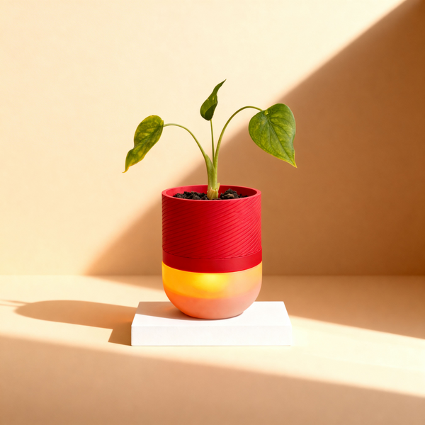Luma Lamp Planter