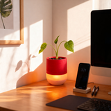 Luma Lamp Planter