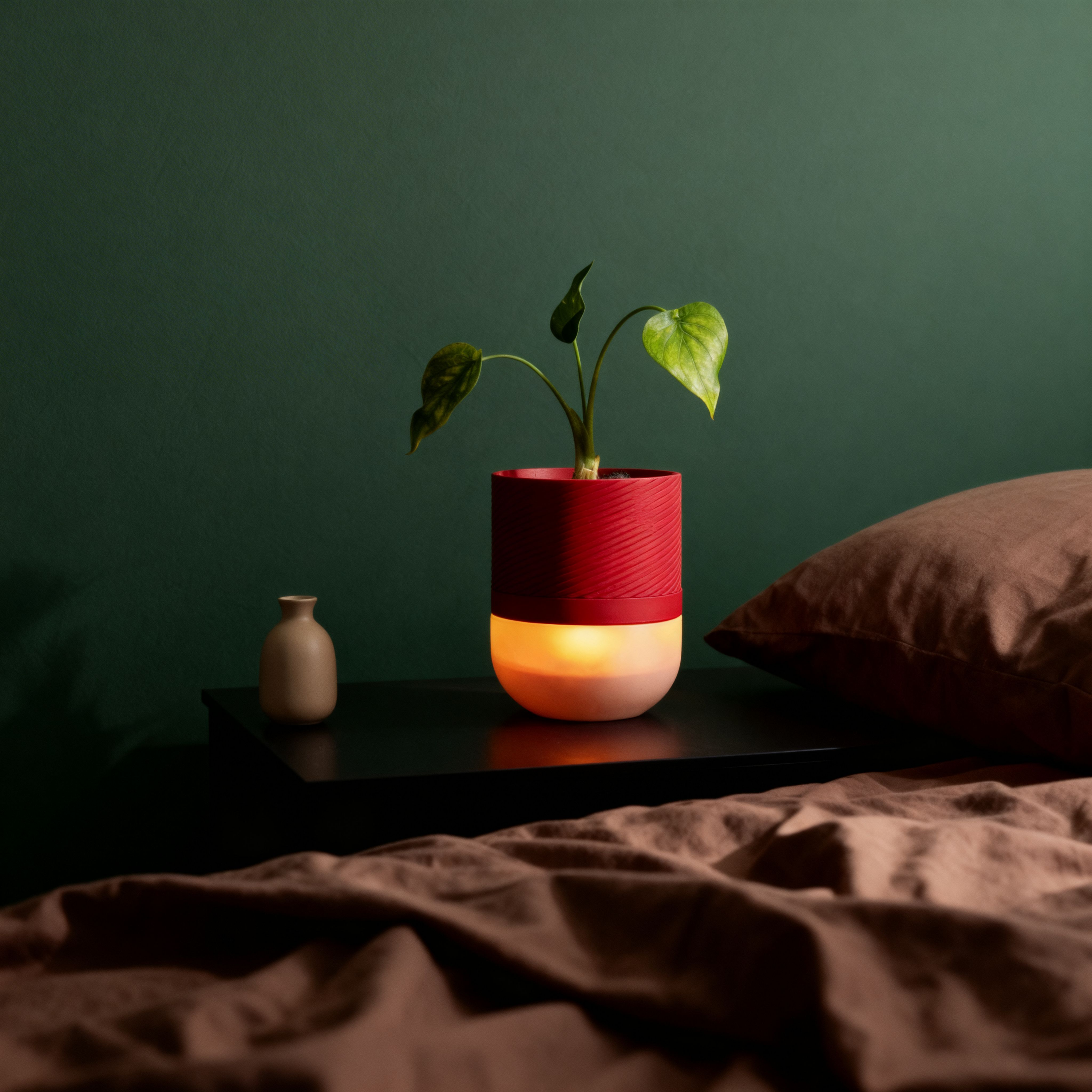 Luma Lamp Planter