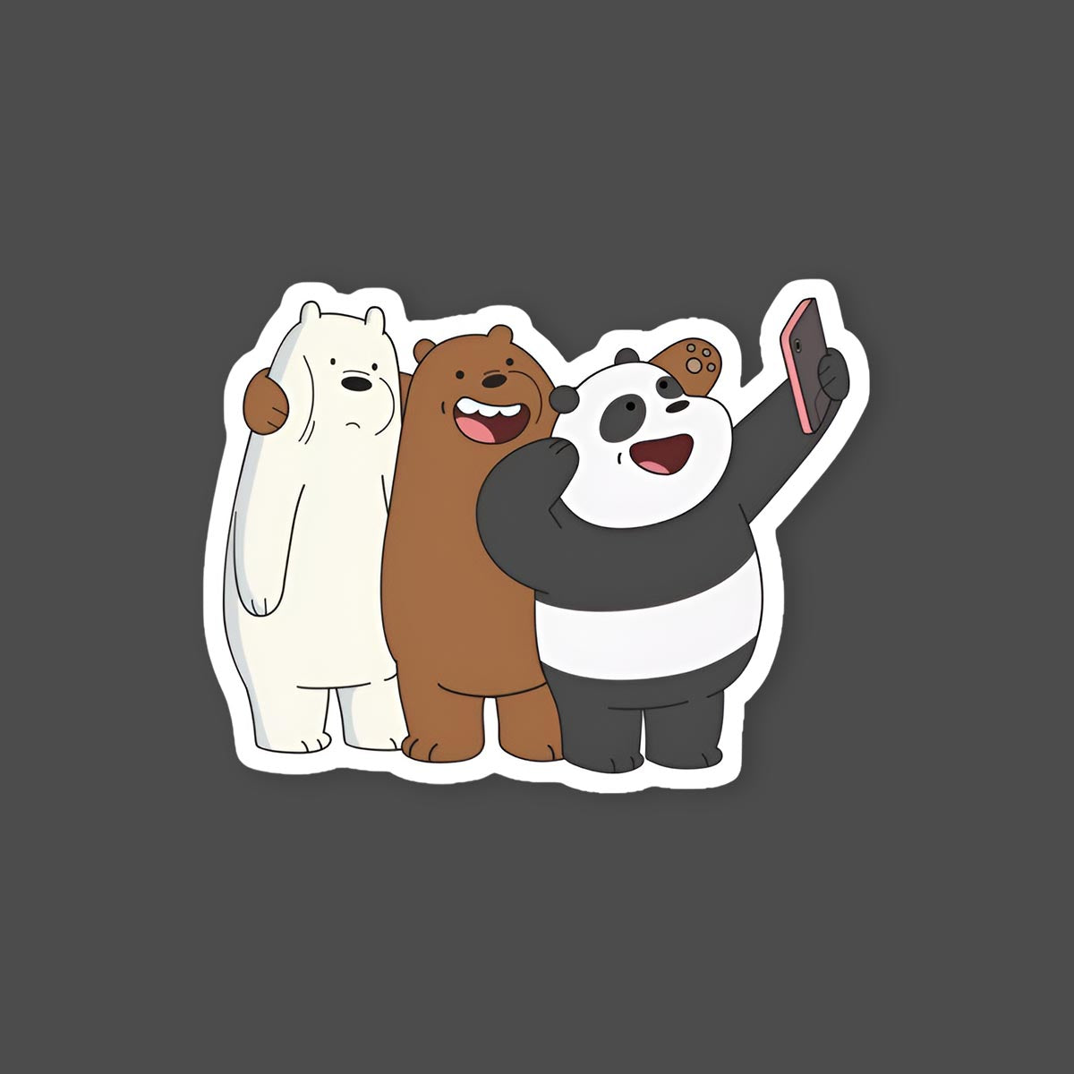 We Bare Bears Selfie Sticker